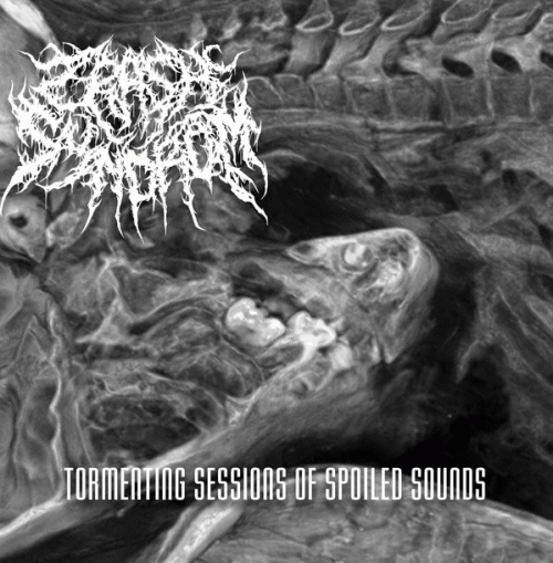 Crash Syndrom : Tormenting Sessions of Spoiled Sounds